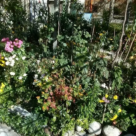 Къща Роза * Banya (Plovdiv)