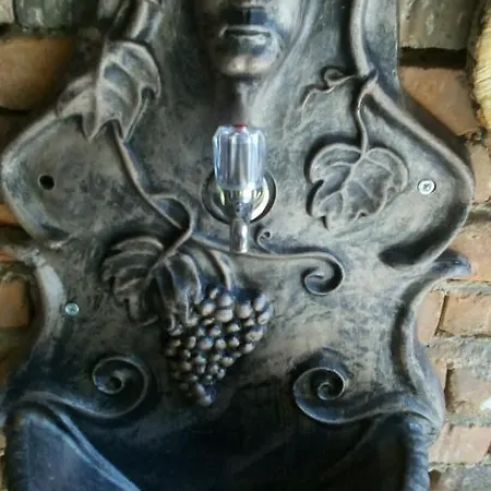 Къща Роза Pansiyon