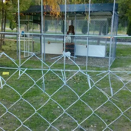 Къща Роза Pansiyon *